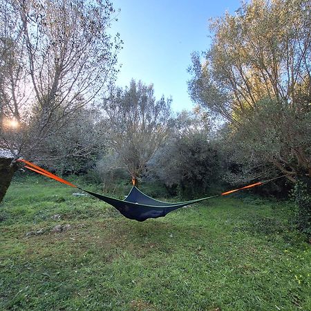 فيلا Moradia Rural De Charme Agradavel E Acolhedora Arrimal المظهر الخارجي الصورة