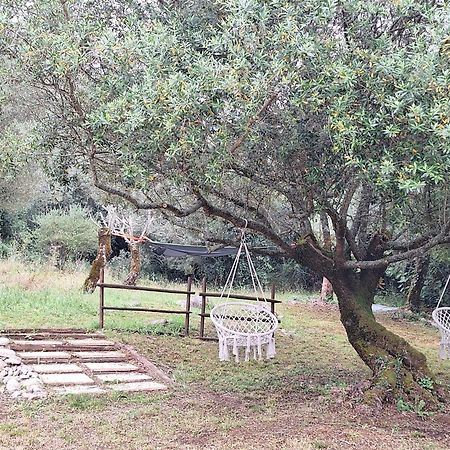 فيلا Moradia Rural De Charme Agradavel E Acolhedora Arrimal المظهر الخارجي الصورة
