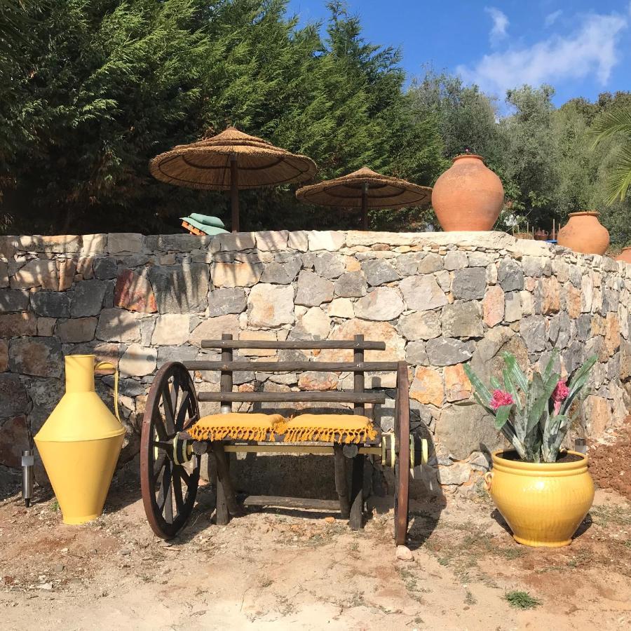 فيلا Moradia Rural De Charme Agradavel E Acolhedora Arrimal المظهر الخارجي الصورة