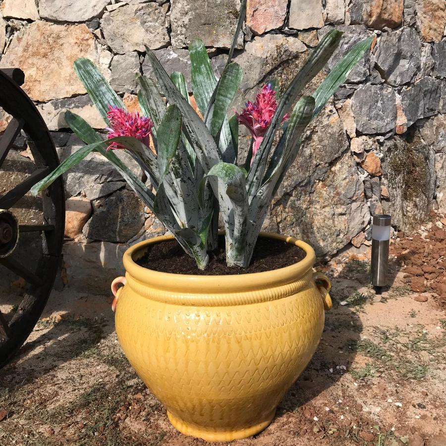 فيلا Moradia Rural De Charme Agradavel E Acolhedora Arrimal المظهر الخارجي الصورة
