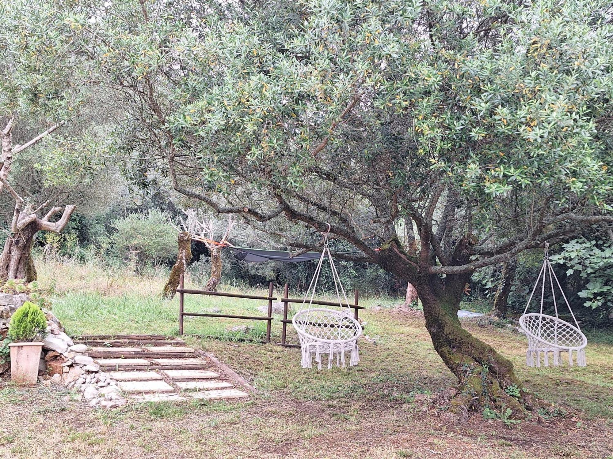 فيلا Moradia Rural De Charme Agradavel E Acolhedora Arrimal المظهر الخارجي الصورة
